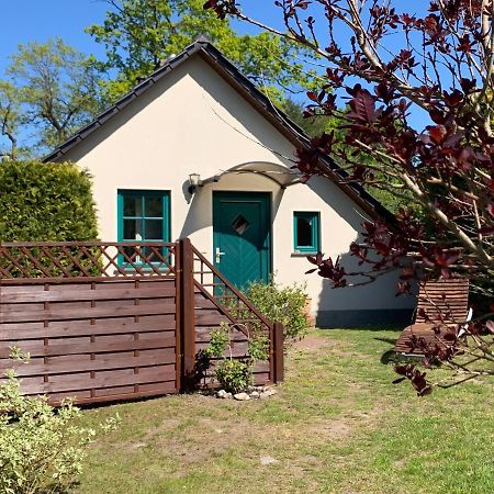 „Rentmeisterhaus Basedow“ Basedow  ภายนอก รูปภาพ