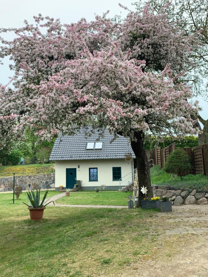 „Rentmeisterhaus Basedow“ Basedow  ภายนอก รูปภาพ