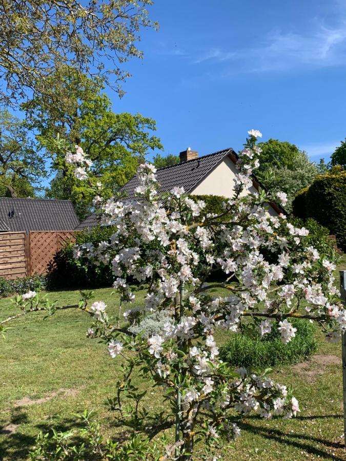 „Rentmeisterhaus Basedow“ Basedow  ภายนอก รูปภาพ